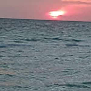 Meet your Posher, Sherry